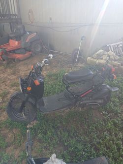 Honda ruckus 2017