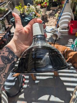 150W Reptile/Amphibian Lamp