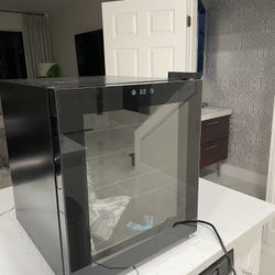 Small Wine And Beverage Fridge 
