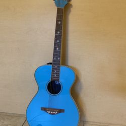 Blue Daisy Rock Acoustic Guitar