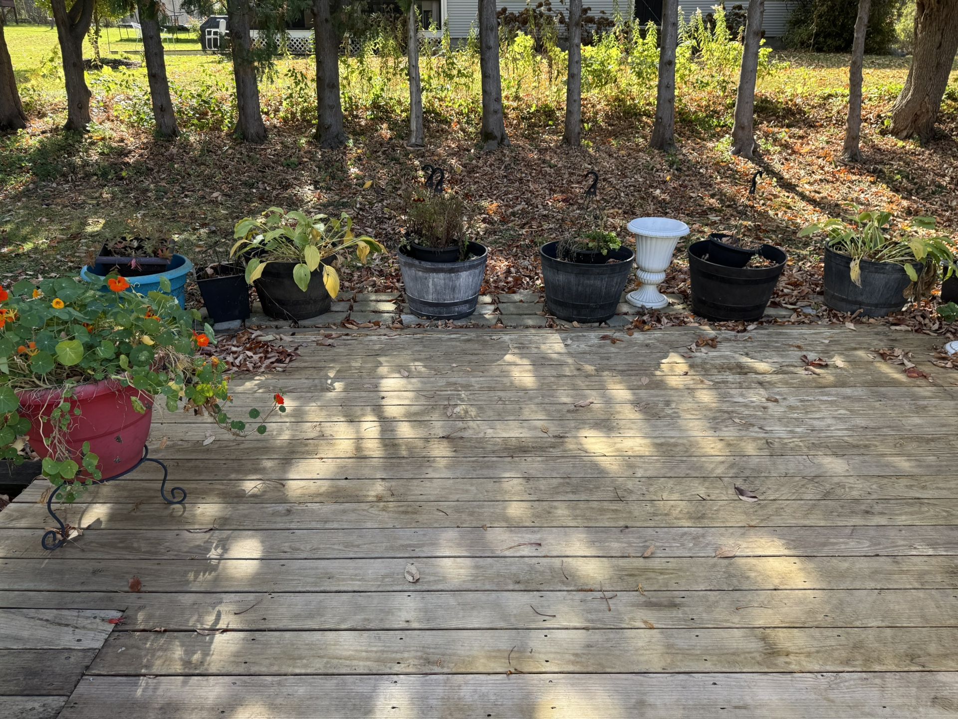 Planters With Soil And Plants
