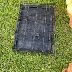 Cage And Cat Tunnel