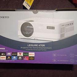 Projector and Roku express