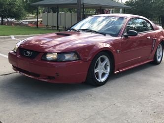 Mustang 99