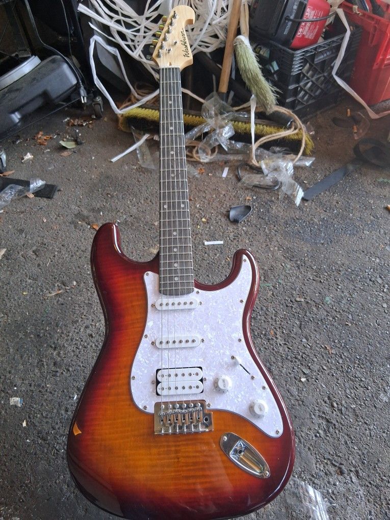 Washburn Sonamaster