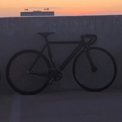 Throne Fixie