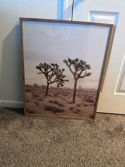 Desert dream frame