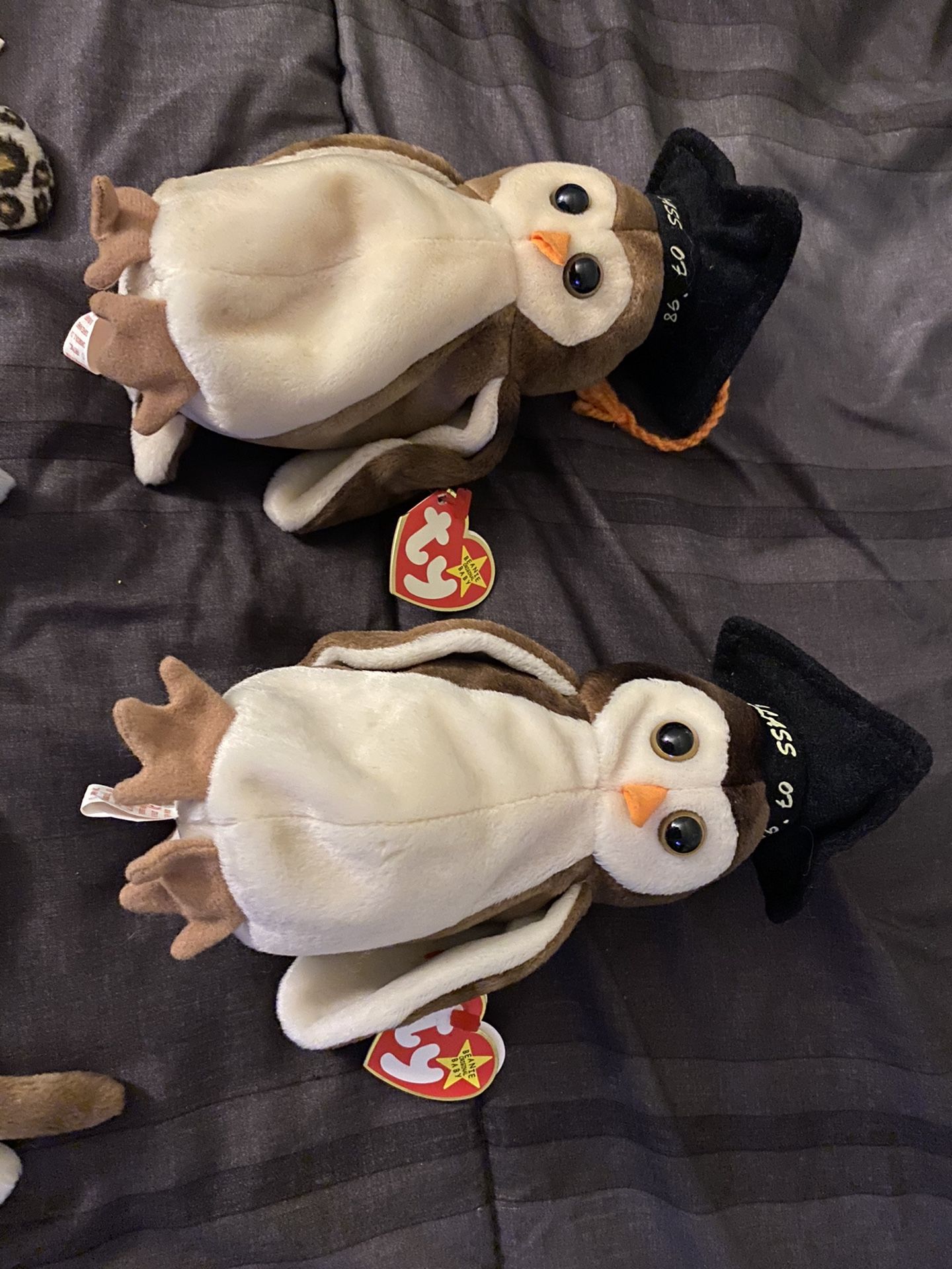 Beanie babies (regular size)