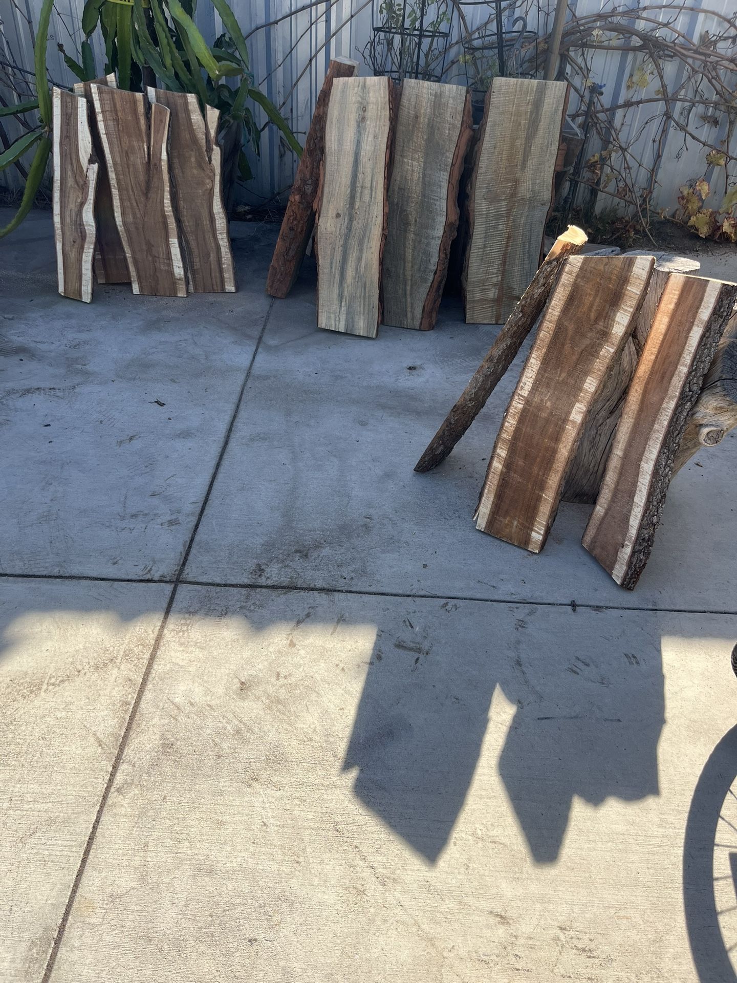 Live Wood / Logs / Firewood