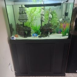 50 Gallon Visio Aquarium Tank And Stand