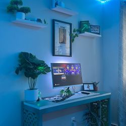 Gaming Aesthetic Setup