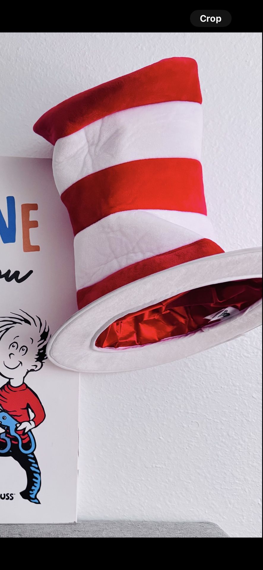Dr. Seuss-Cat In The Hat School Classroom Theme Top Hat 