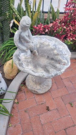 Bird bad little fountain