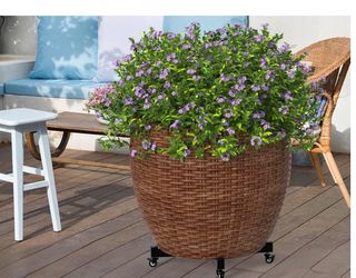Adjustable Plant Caddy with Wheels – 21” to 30”