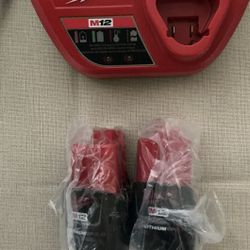 Milwaukee. M12 Lithium-Ion (2) CP 2.0Ah Starter Kit.