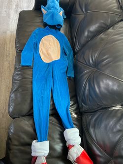 Sonic costume