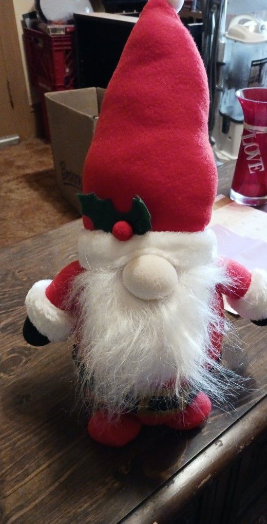 Santa Claus Gnome