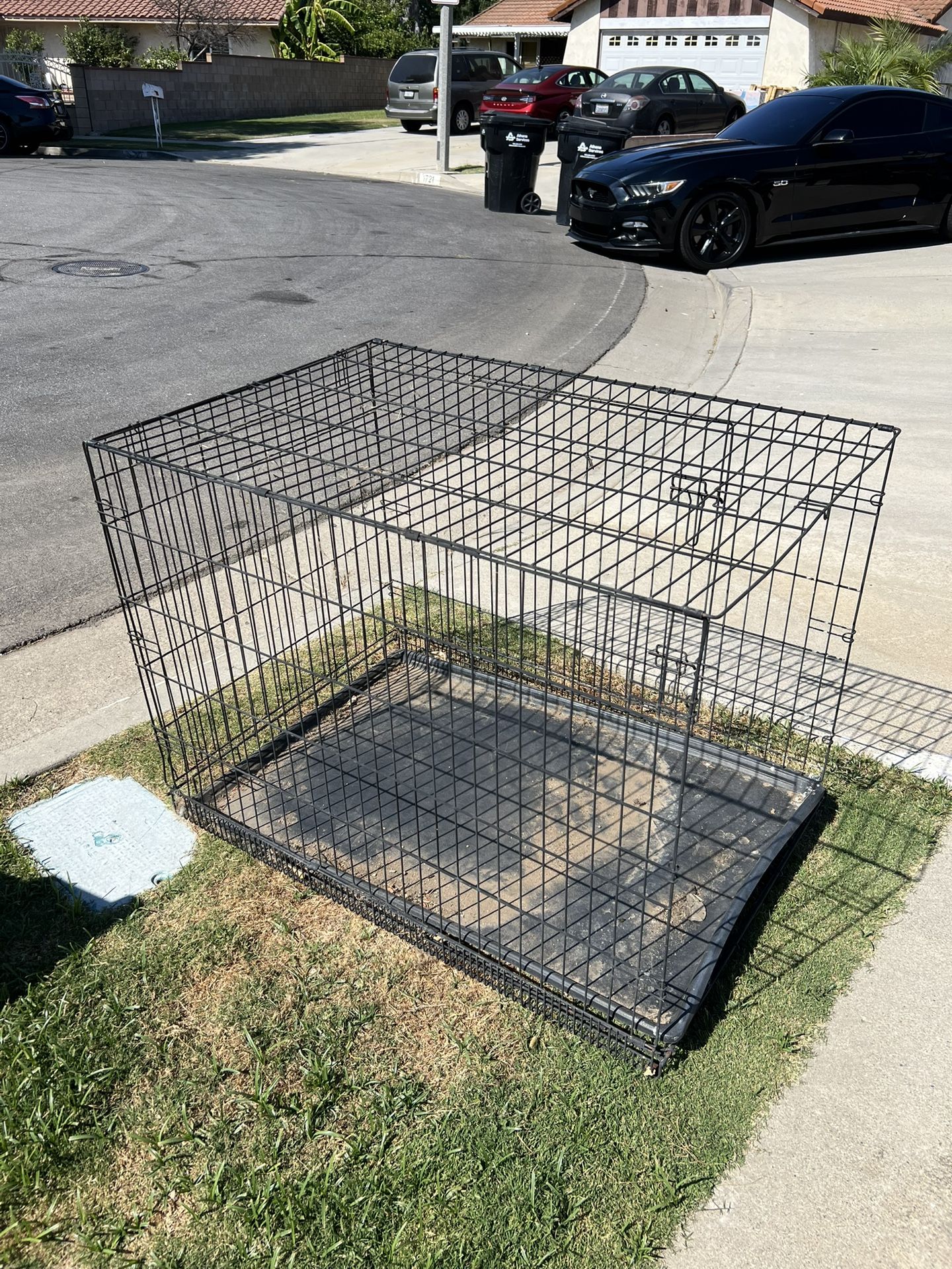Large Dog Crate
