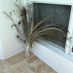 Vase With Peacock Feathers 