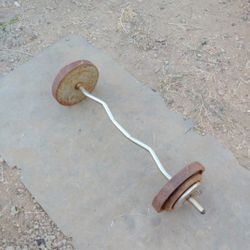 Curl Bar + 80lbs 