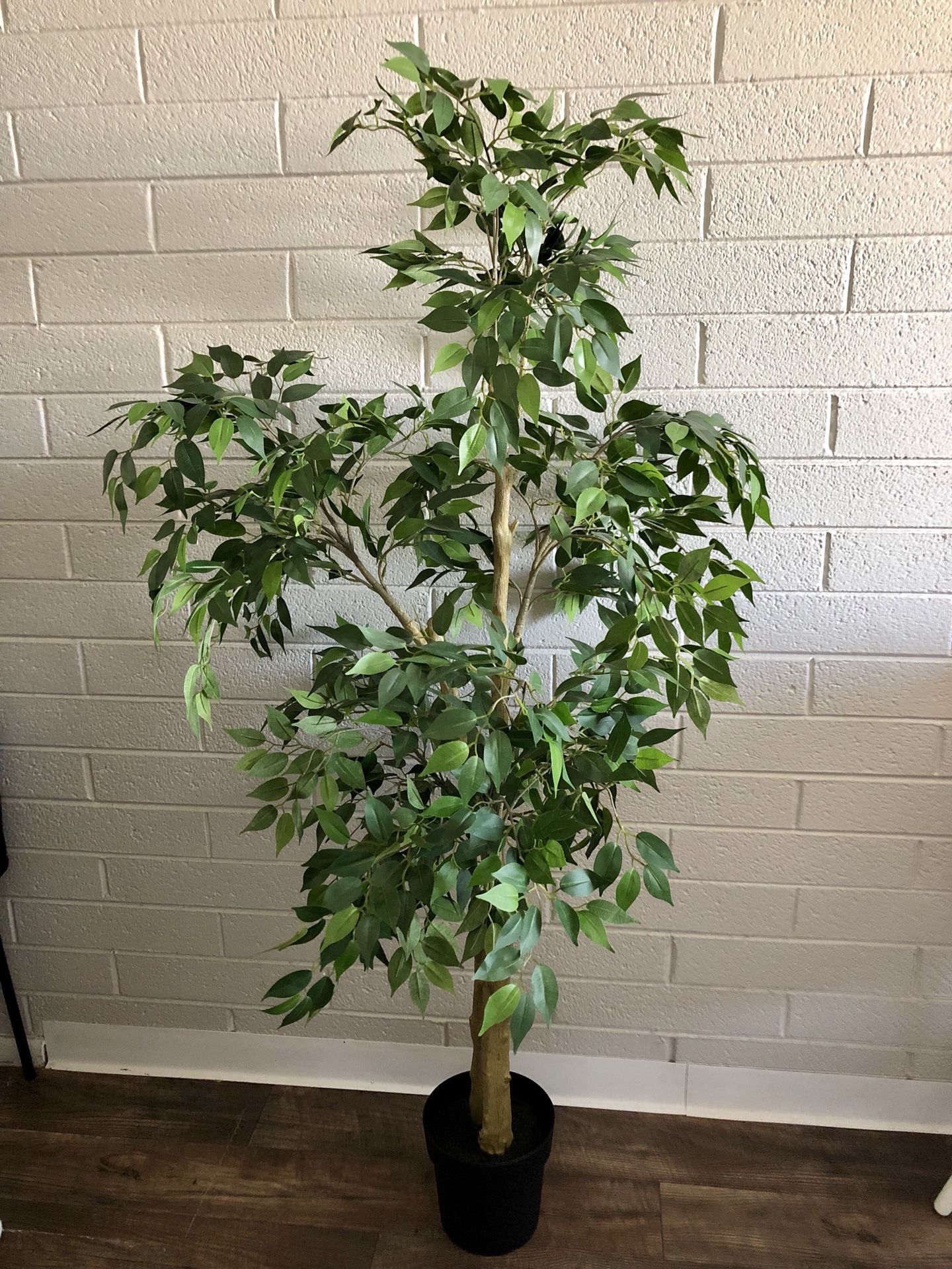 IKEA Artificial Ficus Tree