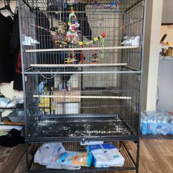 Bird Cage