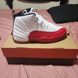 Air Jordan 12 Retro 9.5