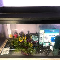 10 Gallon Fish Tank Bundle