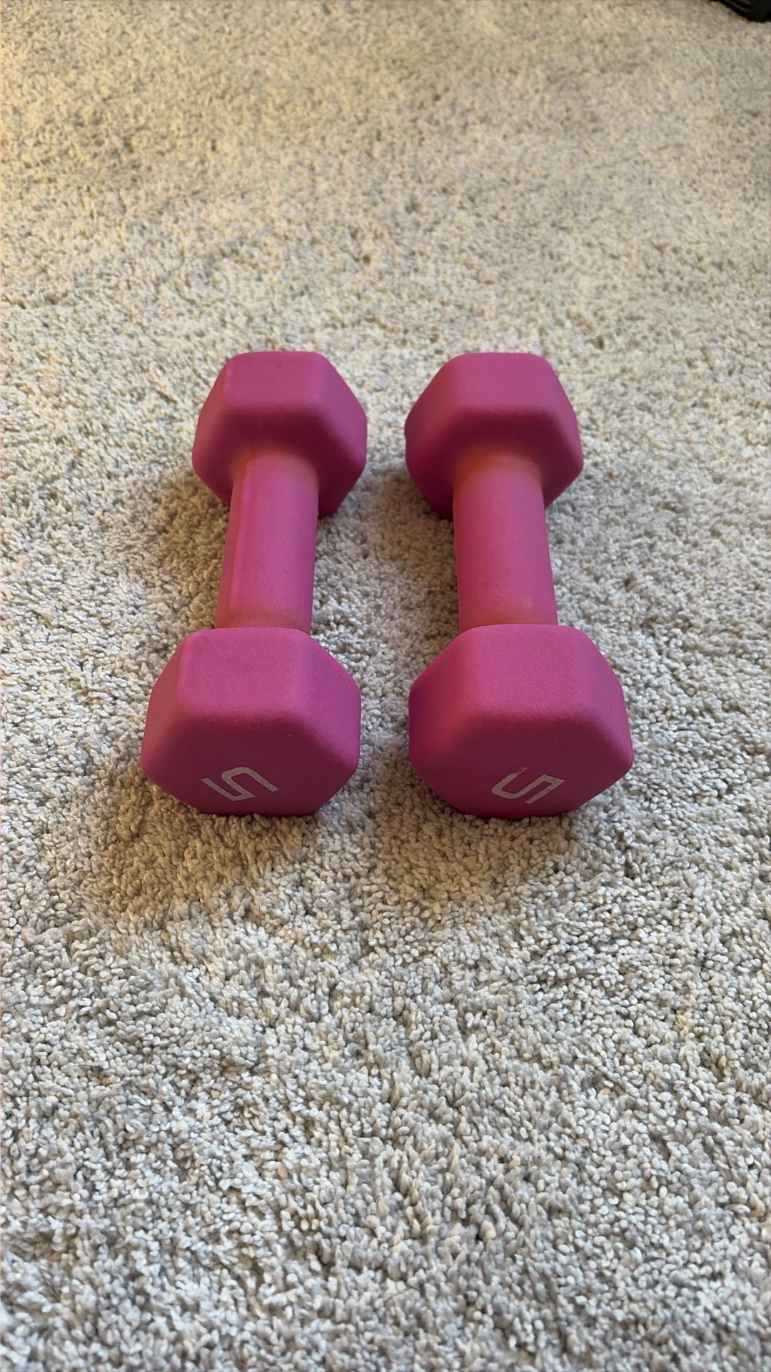 5lb Dumbbells