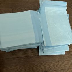 Dog Training Pads 
