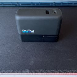 Official GoPro Wall Charger $25