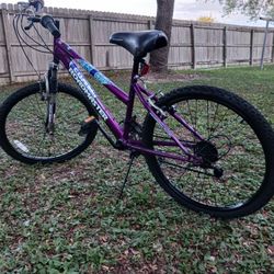 Bisicleta Rodada 24"