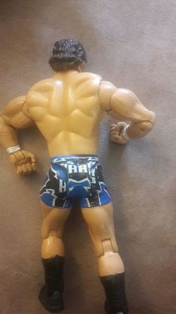 wwe wrestler