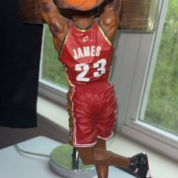 Lebron James Action Figure