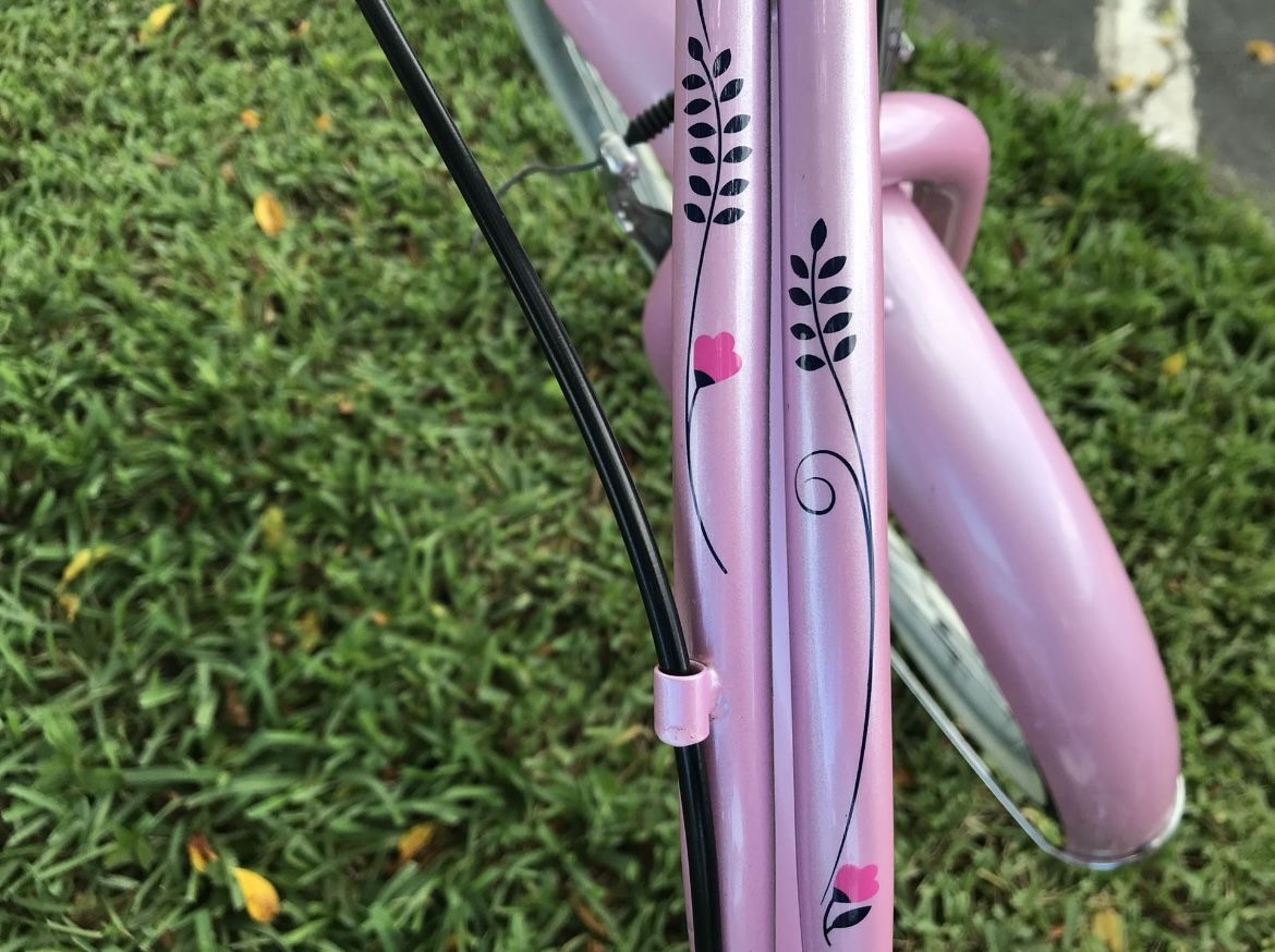 schwinn lulu beach cruiser