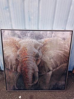 Beautiful Elephant Frame