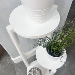 Shelves 
