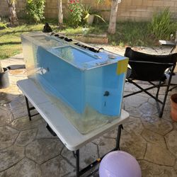 AIO Acrylic Fish Tank