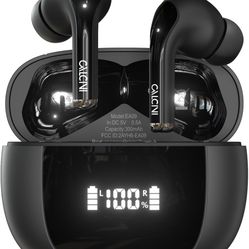 Wireless Earbuds 
