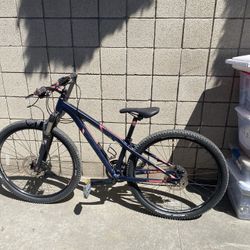Felt Fit Woman Sixty Mountain Bike Bicycle 12 Speed