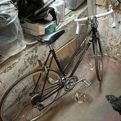 vintage 1979 Schwinn World Cruiser Cafe City Bike