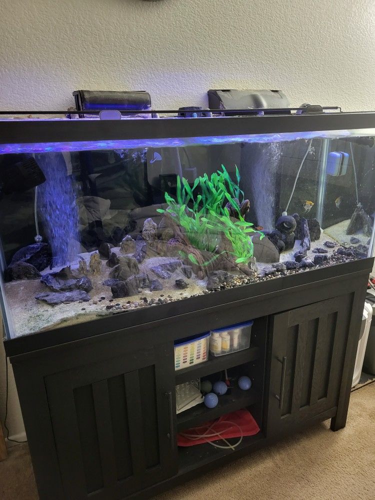 Aquarium