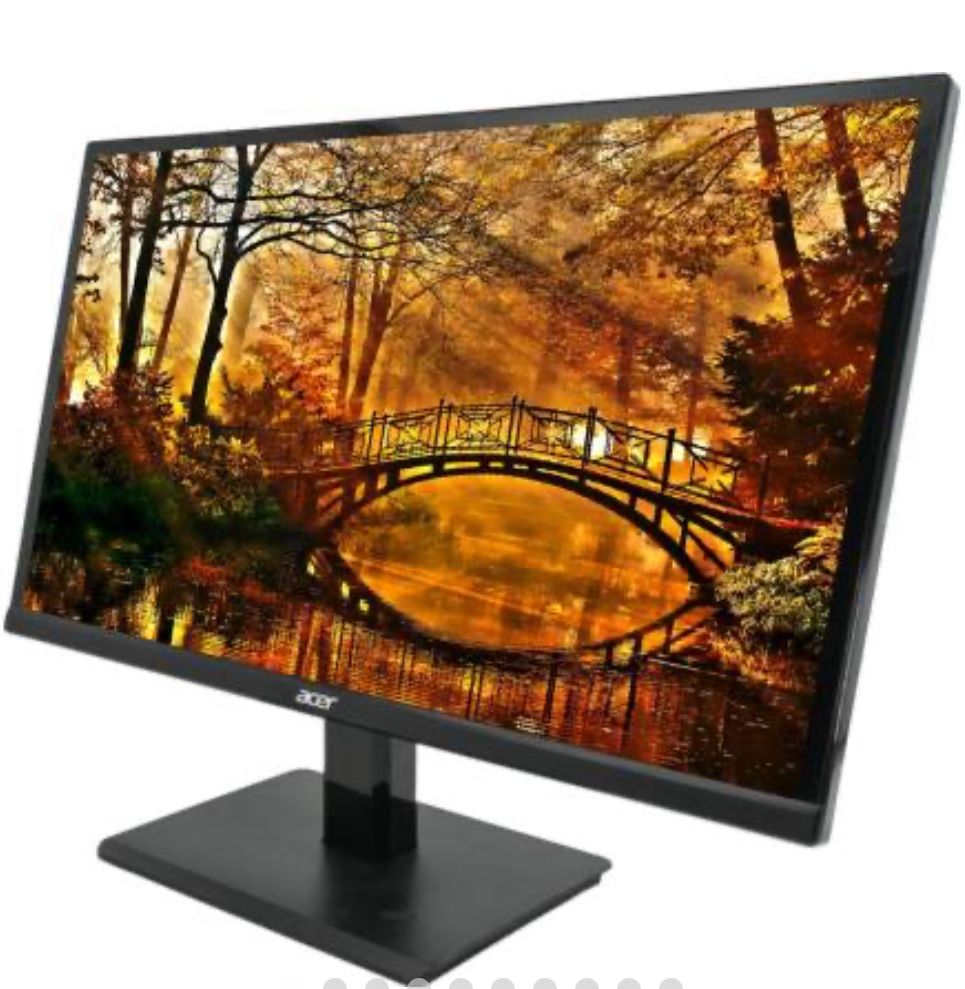 Acer moniter