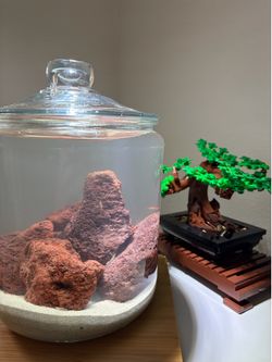 Aquarium decorations