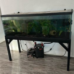 180 Gallon Aquarium