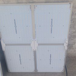 Hydroponics