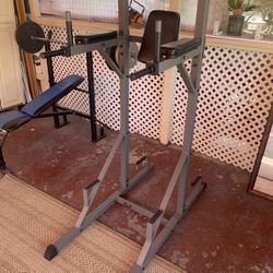 Power Tower With Dip Bar