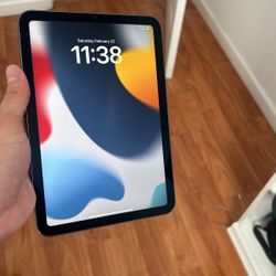 iPad Mini