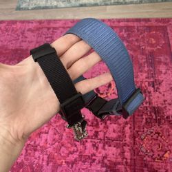 Free Dog Collars