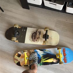Mini long board and skate board